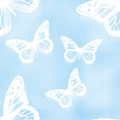 untitledf (2)